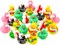 24 Pcs Mexican Fiesta Rubber Ducks – Colorful Maraca Cinco de Mayo Duck Party Favors – Mini Bath Toys for Baby Shower, Gifts, Dress-Up Play & Fiesta Party Decorations – Perfect for Mother's Day Card Making Displays